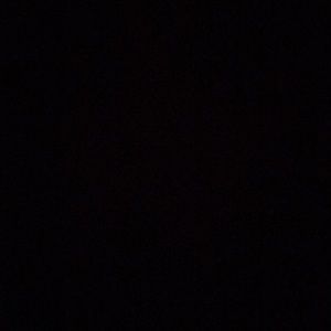 Meet your Posher, Sophia